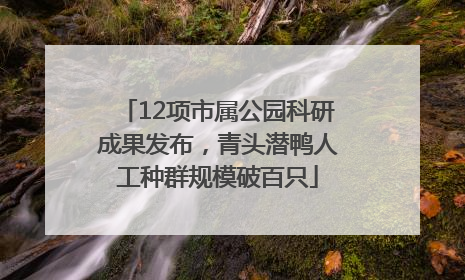 12项市属公园科研成果发布，青头潜鸭人工种群规模破百只